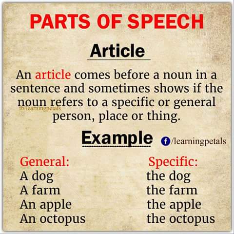 parts-of-speech-5