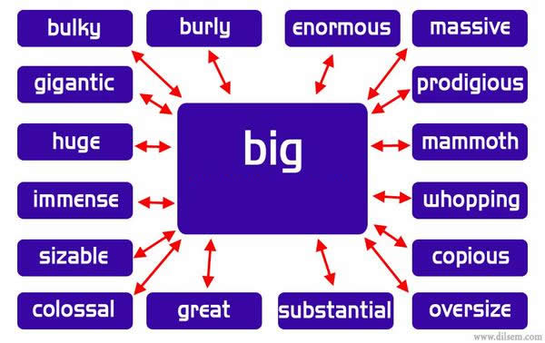 Big Vocabulary Words Synonym