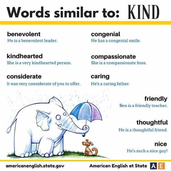 Words Similar To KIND Vocabulary Home