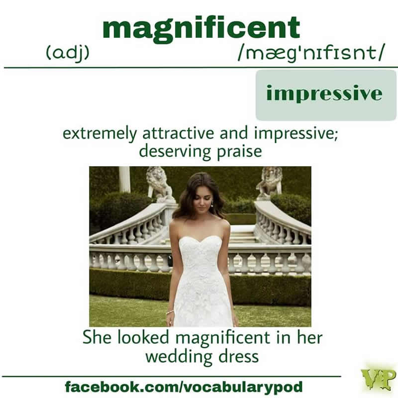 advanced-adjective-vocabulary-3