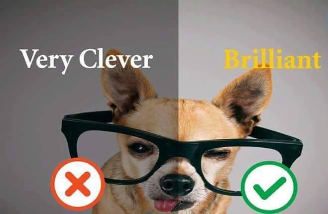 advanced-vocabulary-10