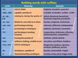 Building Words With Suffixes 