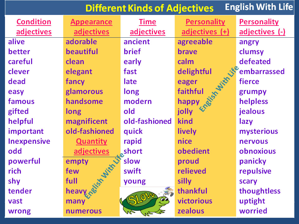 Which Kind Of Adjective Is Most