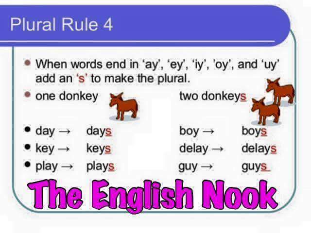 Plural Rules English Grammar Vocabulary Home