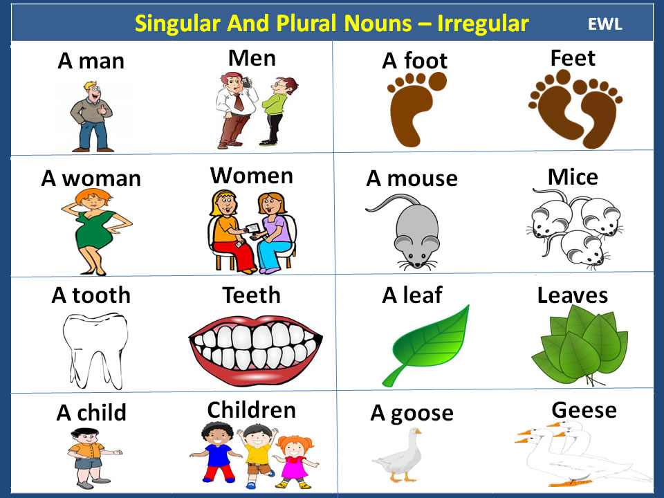 10 Examples Of Singular And Plural