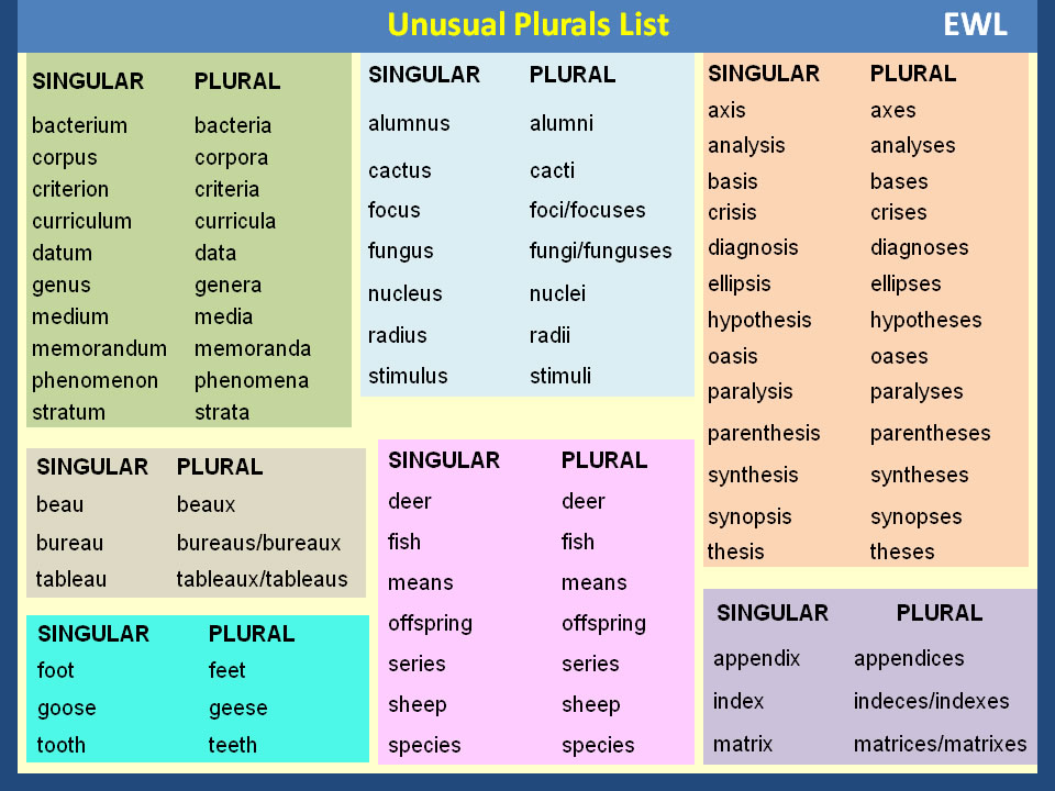 Plural Verbs List