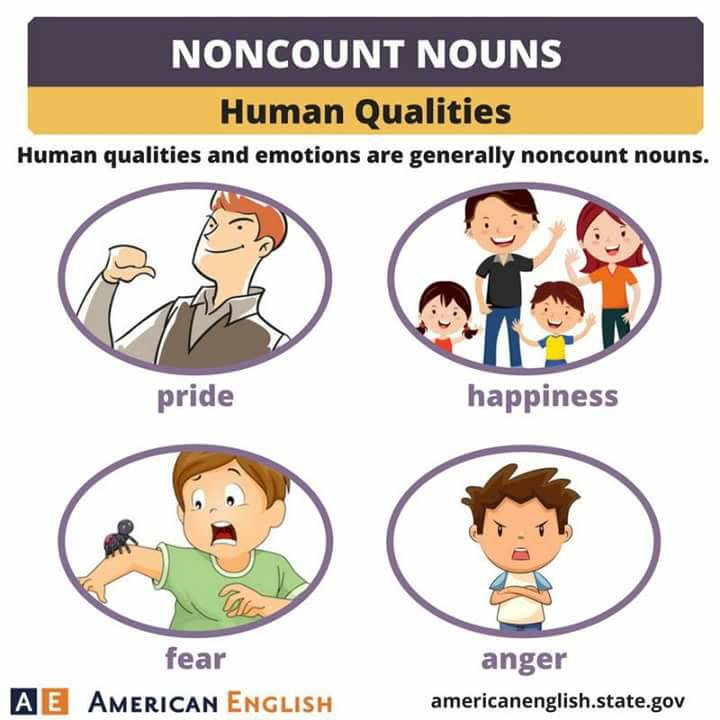 Count And Noncount Nouns Vocabulary Home