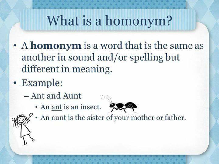 Homonym And Examples Vocabulary Home