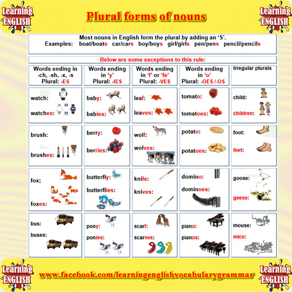 plural forms of nouns