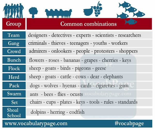 group-words-in-english