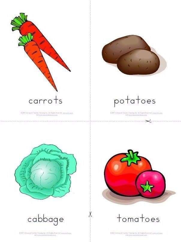 vegetables-english-vocabulary-4