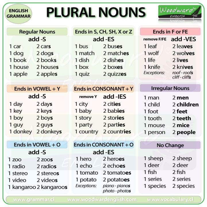 plural-noun-rules