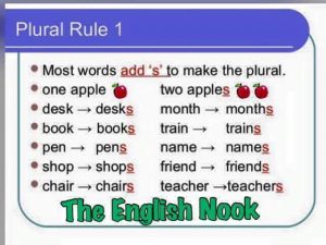 8 Plural Noun Rules – Vocabulary Home