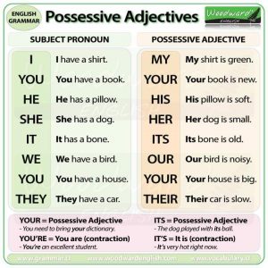 Possessive Adjectives | Vocabulary Home