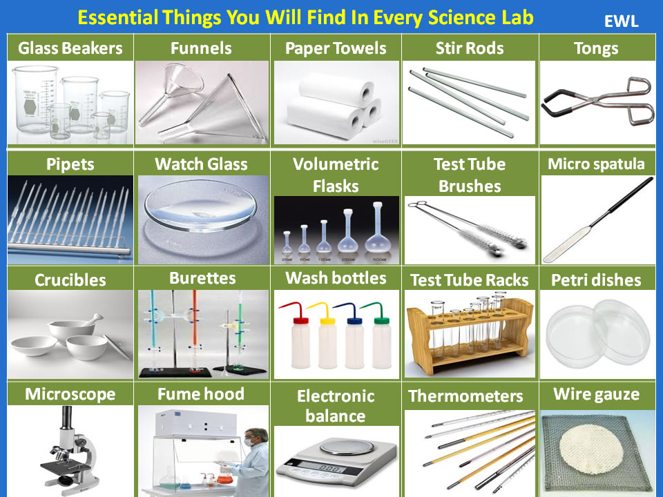 Essential Things You Will Find In Every Science Lab