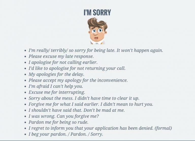 i-m-sorry-vocabulary-home