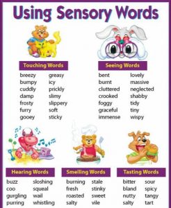 Using Sensory Words – Vocabulary Home